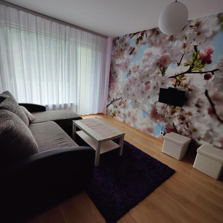 Dainai Apartament Šiauliai المظهر الخارجي الصورة